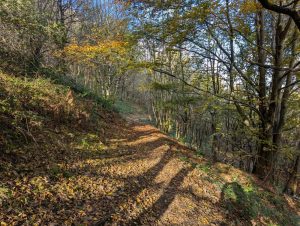 Read more about the article Update From The Malvern Walking Festival Chairman – October 2025
