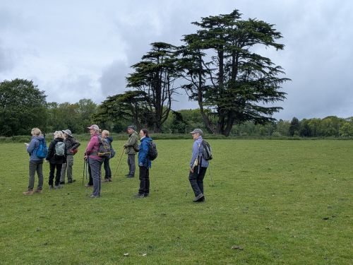 bringsty common and bromyard downs circular