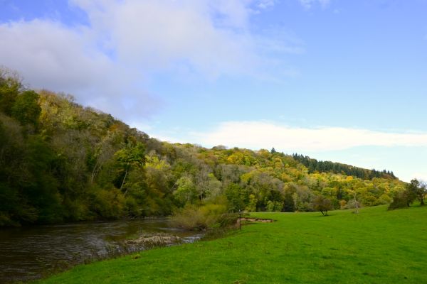 Symonds Yat